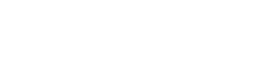 Birmingham logo